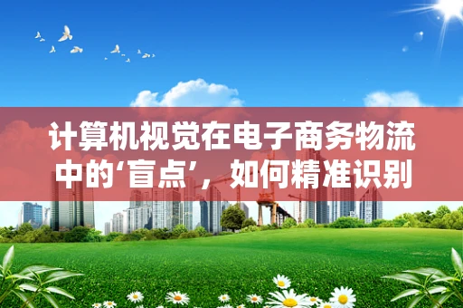 计算机视觉在电子商务物流中的‘盲点’，如何精准识别并优化包裹分拣？