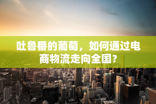吐鲁番的葡萄，如何通过电商物流走向全国？