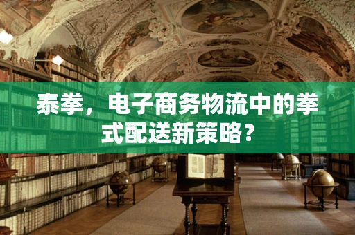 泰拳，电子商务物流中的拳式配送新策略？