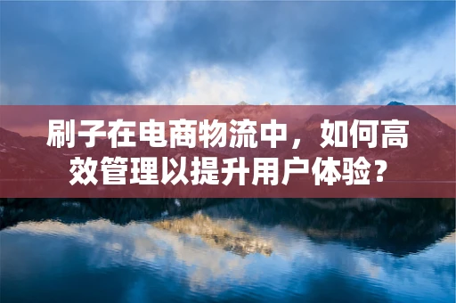 刷子在电商物流中，如何高效管理以提升用户体验？