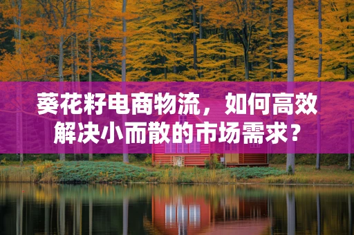 葵花籽电商物流，如何高效解决小而散的市场需求？