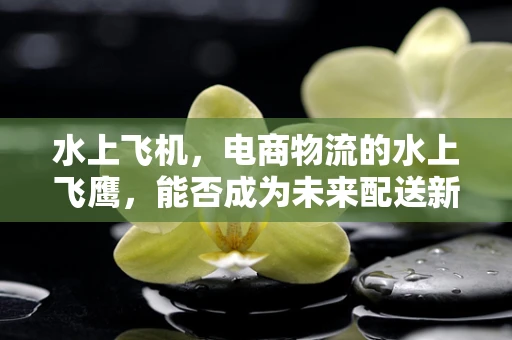 水上飞机，电商物流的水上飞鹰，能否成为未来配送新宠？