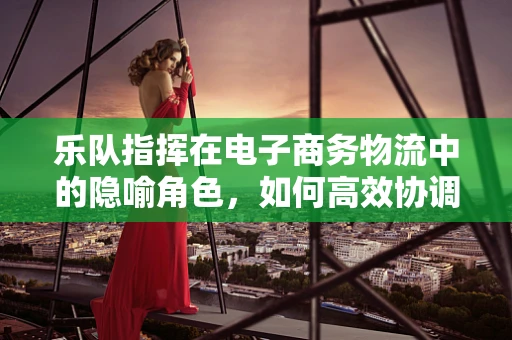 乐队指挥在电子商务物流中的隐喻角色，如何高效协调数字供应链的交响乐？