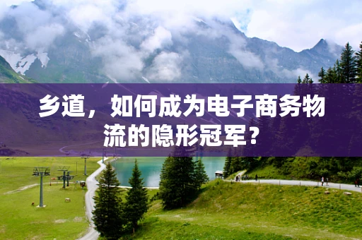 乡道，如何成为电子商务物流的隐形冠军？
