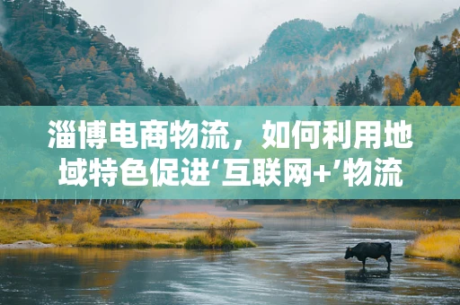 淄博电商物流，如何利用地域特色促进‘互联网+’物流发展？