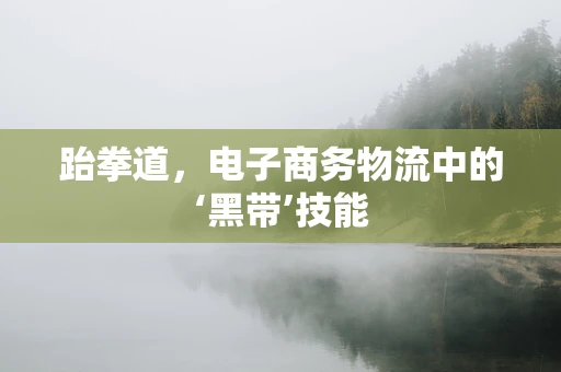 跆拳道，电子商务物流中的‘黑带’技能