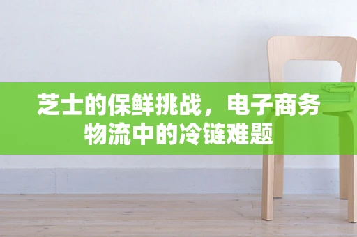 芝士的保鲜挑战，电子商务物流中的冷链难题