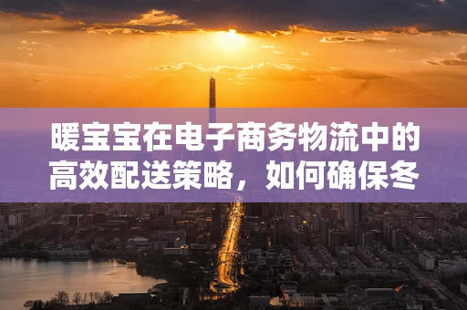 暖宝宝在电子商务物流中的高效配送策略，如何确保冬季温暖送达？