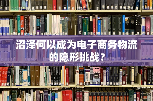 沼泽何以成为电子商务物流的隐形挑战？