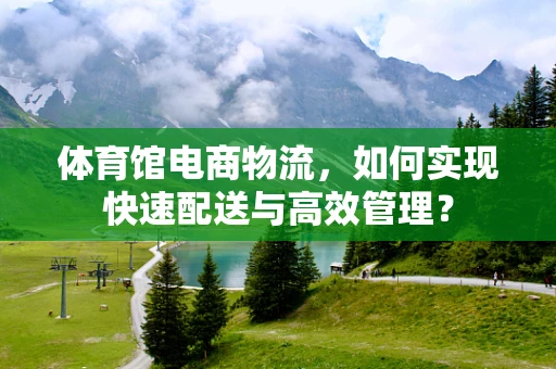 体育馆电商物流，如何实现快速配送与高效管理？