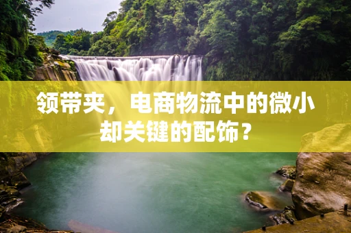 领带夹，电商物流中的微小却关键的配饰？
