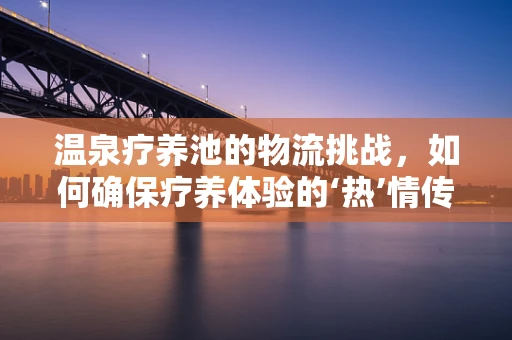 温泉疗养池的物流挑战，如何确保疗养体验的‘热’情传递？