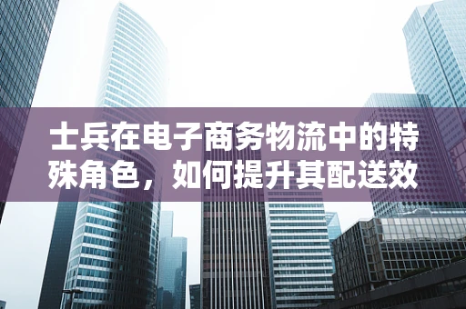 士兵在电子商务物流中的特殊角色，如何提升其配送效率与安全性？