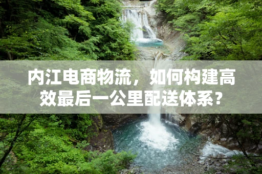 内江电商物流，如何构建高效最后一公里配送体系？