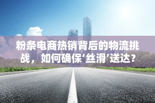 粉条电商热销背后的物流挑战，如何确保‘丝滑’送达？