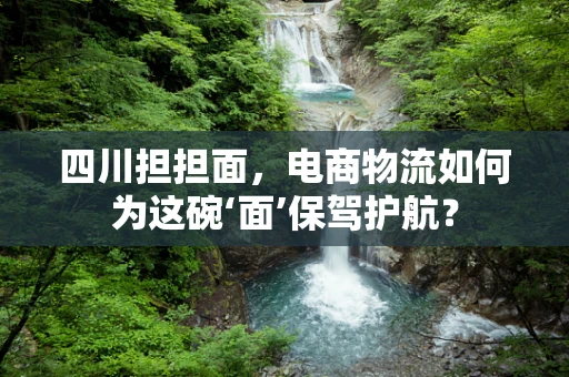 四川担担面，电商物流如何为这碗‘面’保驾护航？