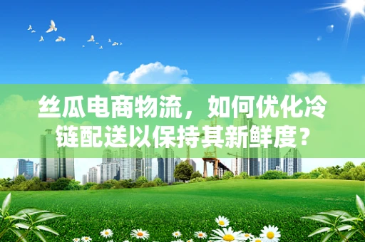 丝瓜电商物流，如何优化冷链配送以保持其新鲜度？