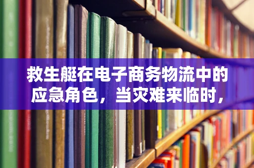 救生艇在电子商务物流中的应急角色，当灾难来临时，我们如何浮出水面？