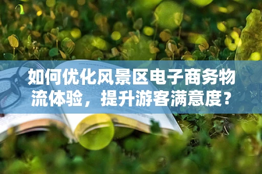 如何优化风景区电子商务物流体验，提升游客满意度？