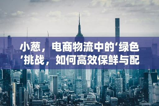 小葱，电商物流中的‘绿色’挑战，如何高效保鲜与配送？