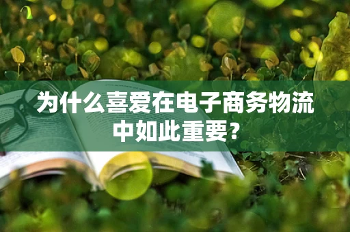 为什么喜爱在电子商务物流中如此重要？