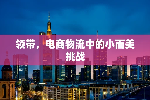 领带，电商物流中的小而美挑战