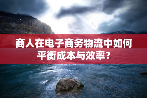商人在电子商务物流中如何平衡成本与效率？