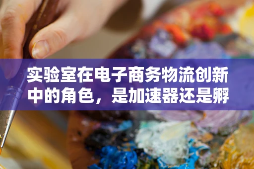 实验室在电子商务物流创新中的角色，是加速器还是孵化器？