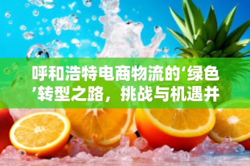 呼和浩特电商物流的‘绿色’转型之路，挑战与机遇并存