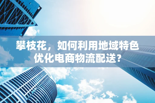 攀枝花，如何利用地域特色优化电商物流配送？