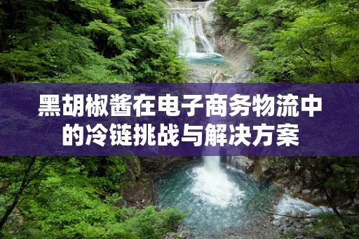 黑胡椒酱在电子商务物流中的冷链挑战与解决方案