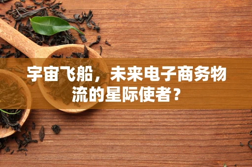 宇宙飞船，未来电子商务物流的星际使者？
