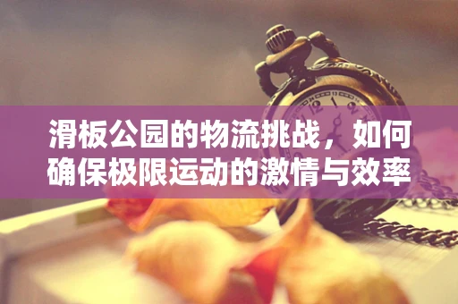 滑板公园的物流挑战，如何确保极限运动的激情与效率并存？
