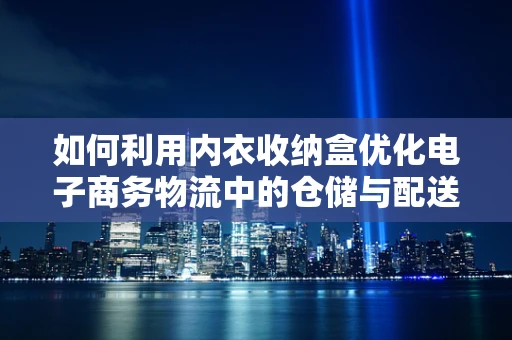 如何利用内衣收纳盒优化电子商务物流中的仓储与配送效率？