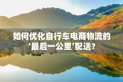 如何优化自行车电商物流的‘最后一公里’配送？