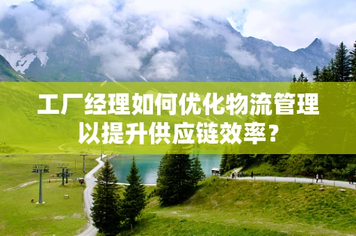 工厂经理如何优化物流管理以提升供应链效率？