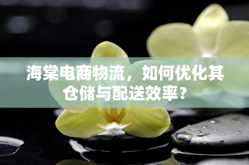 海棠电商物流，如何优化其仓储与配送效率？