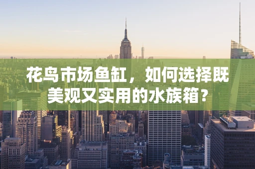 花鸟市场鱼缸，如何选择既美观又实用的水族箱？