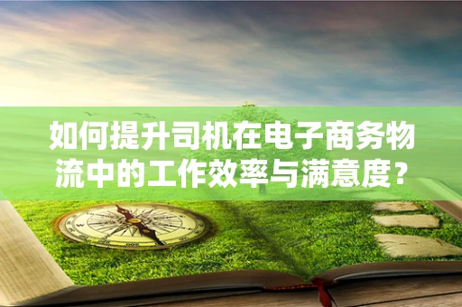 如何提升司机在电子商务物流中的工作效率与满意度？