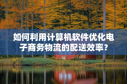 如何利用计算机软件优化电子商务物流的配送效率？