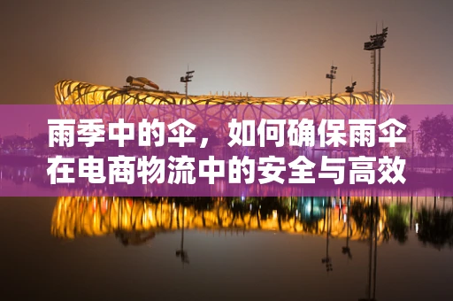 雨季中的伞，如何确保雨伞在电商物流中的安全与高效？