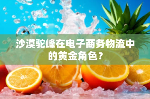 沙漠驼峰在电子商务物流中的黄金角色？