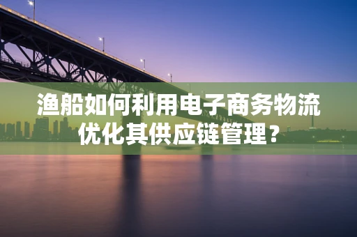 渔船如何利用电子商务物流优化其供应链管理？