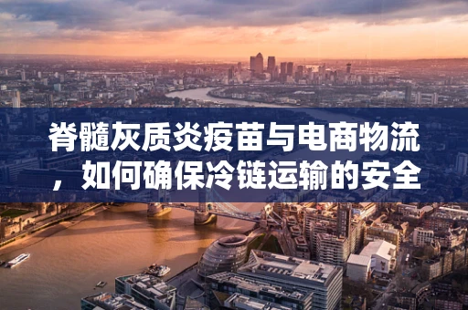 脊髓灰质炎疫苗与电商物流，如何确保冷链运输的安全与效率？