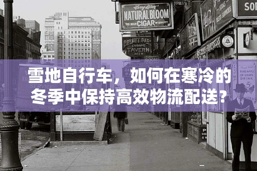雪地自行车，如何在寒冷的冬季中保持高效物流配送？