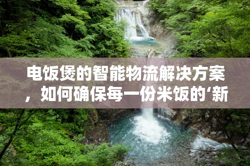 电饭煲的智能物流解决方案，如何确保每一份米饭的‘新鲜’送达？