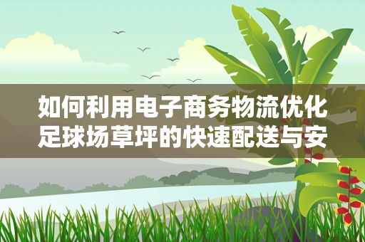 如何利用电子商务物流优化足球场草坪的快速配送与安装？