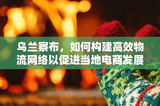 乌兰察布，如何构建高效物流网络以促进当地电商发展？