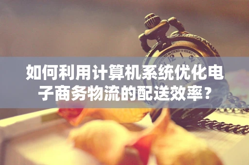 如何利用计算机系统优化电子商务物流的配送效率？