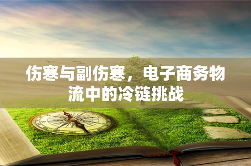 伤寒与副伤寒，电子商务物流中的冷链挑战